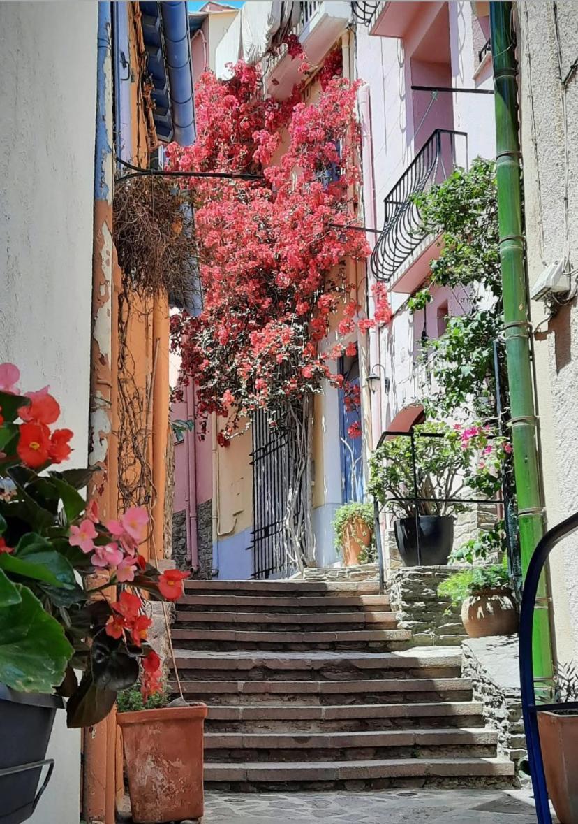 Studio Collioure Mouret Екстериор снимка